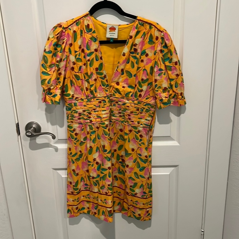 Farm Rio Multi Colored Dress